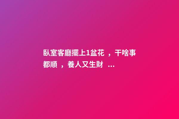臥室客廳擺上1盆花，干啥事都順，養人又生財！